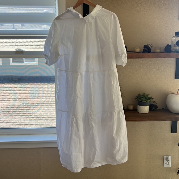 Asos Daisy street Curve Dress - Picture 4 of 6